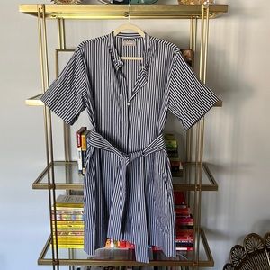 Everlane Poplin Blue and White Stripe Mini Dress